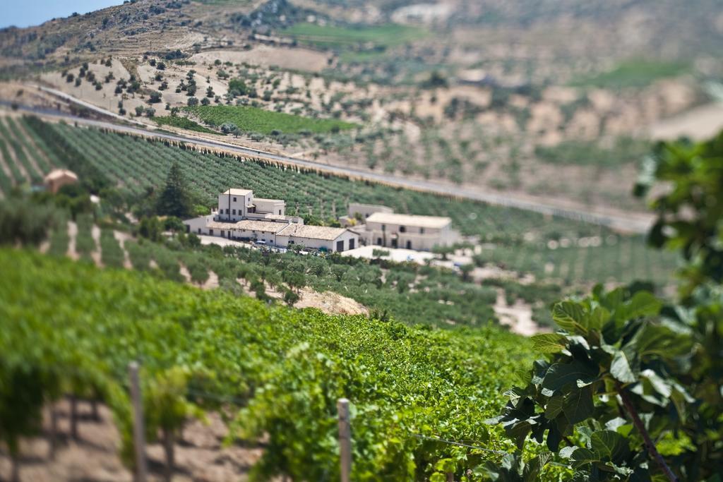 Azienda Agricola Mandranova Палма де Монтекиаро Екстериор снимка