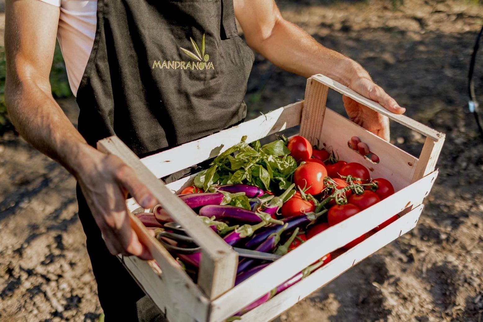 Azienda Agricola Mandranova Палма де Монтекиаро Екстериор снимка